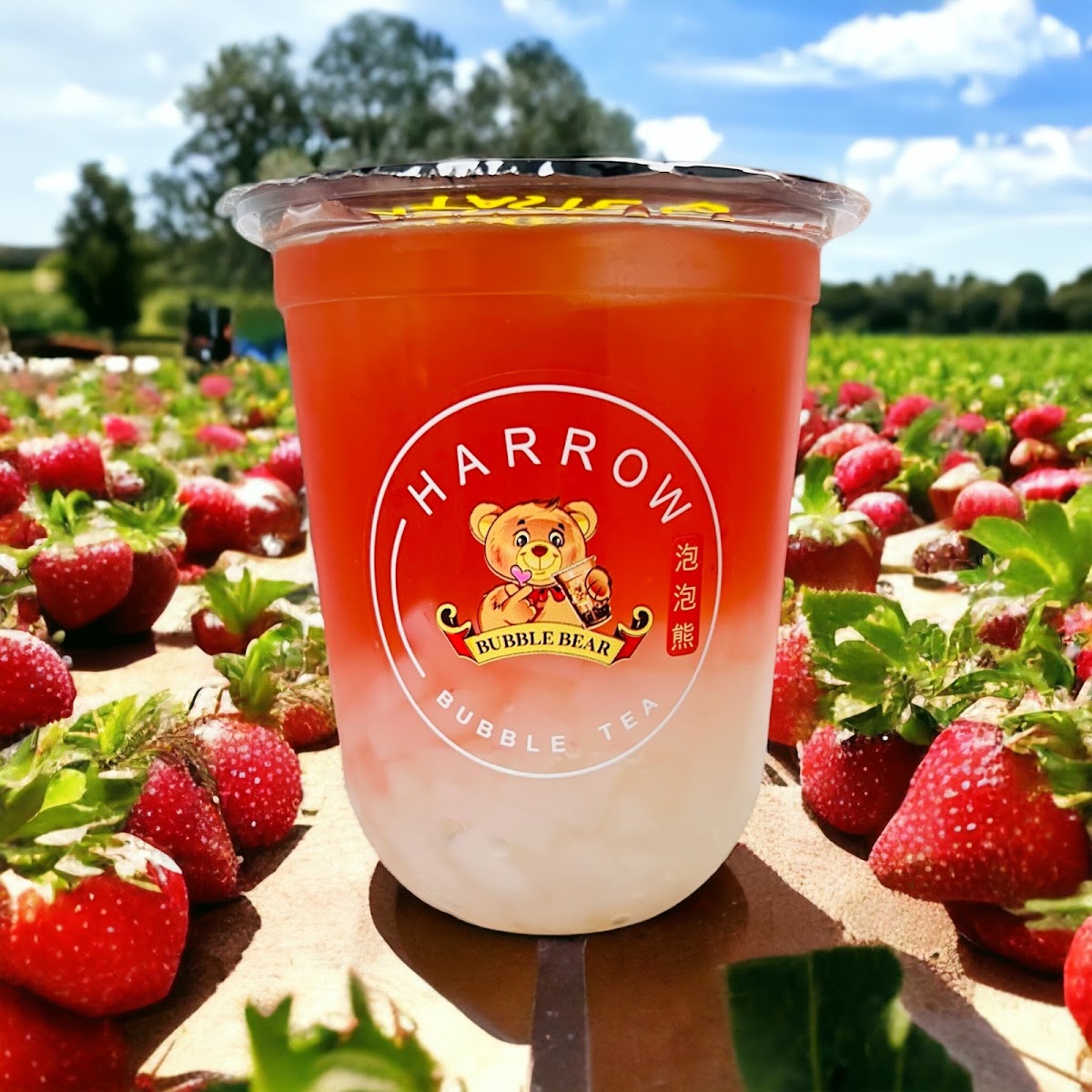 Bubble Bear Bubble Tea Photos 2